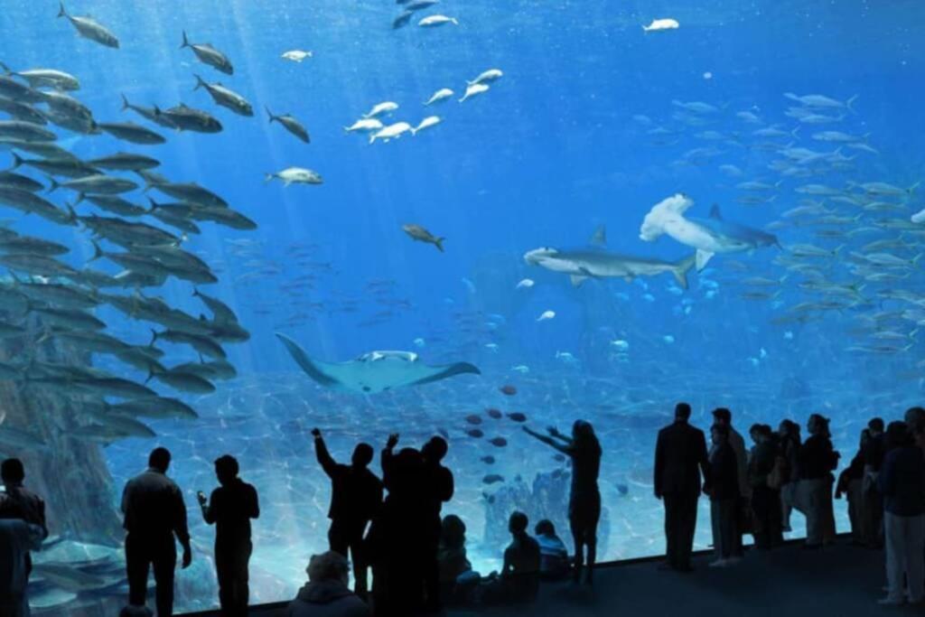 La Perle Marine :Boulogne Sur Mer ภายนอก รูปภาพ